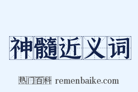 神髓近义词是什么意思的图片